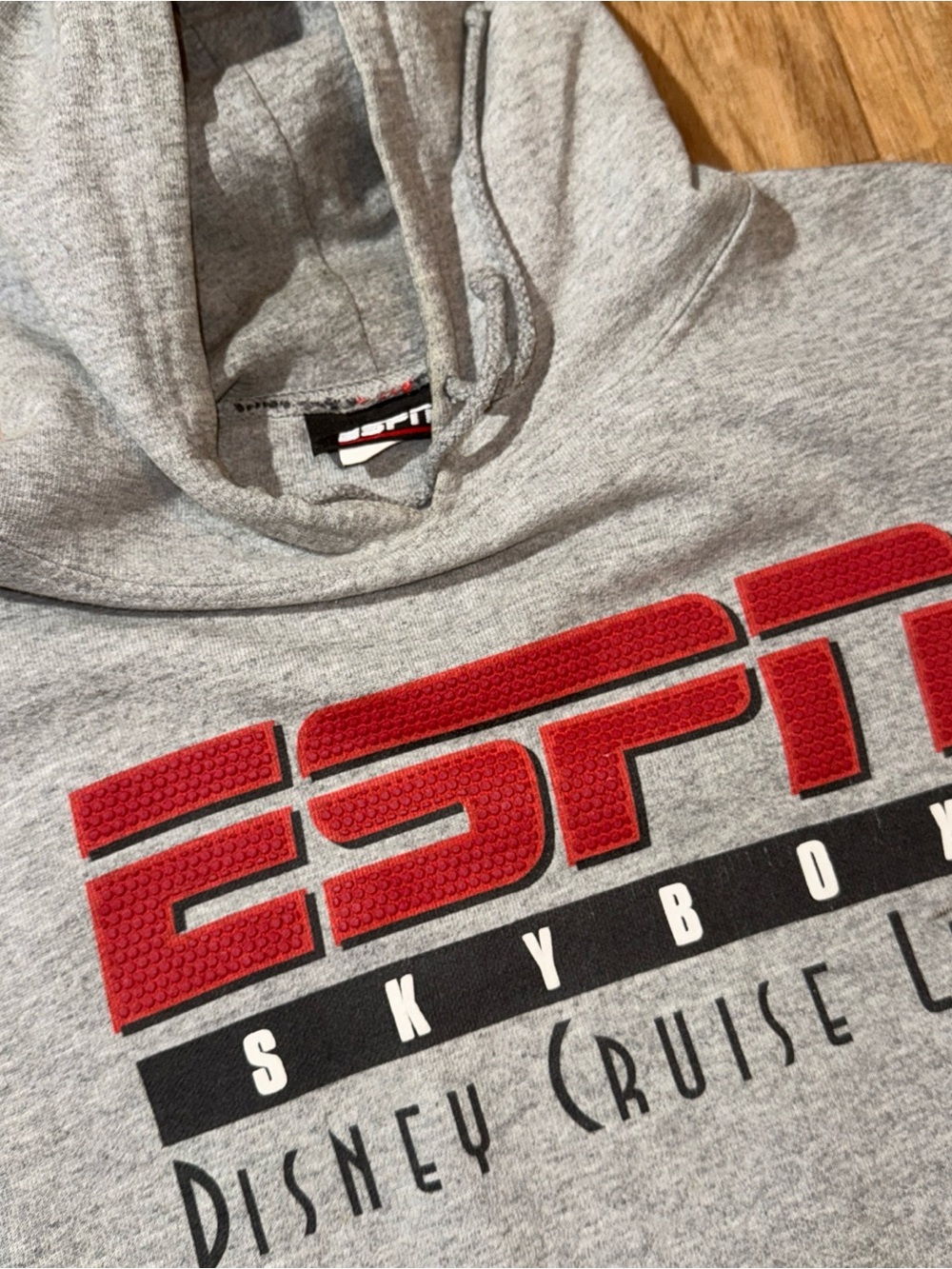 Disney Cruise Line zip-up hoodie in classic gray